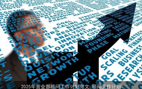 2025年营业部顾问工作计划：目标设定、策略实施与预期成果