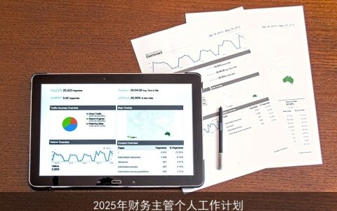 2025年财务主管全面工作计划：战略规划、成本控制、风险管理及团队建设