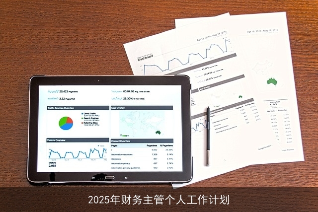 2025年财务主管个人工作计划