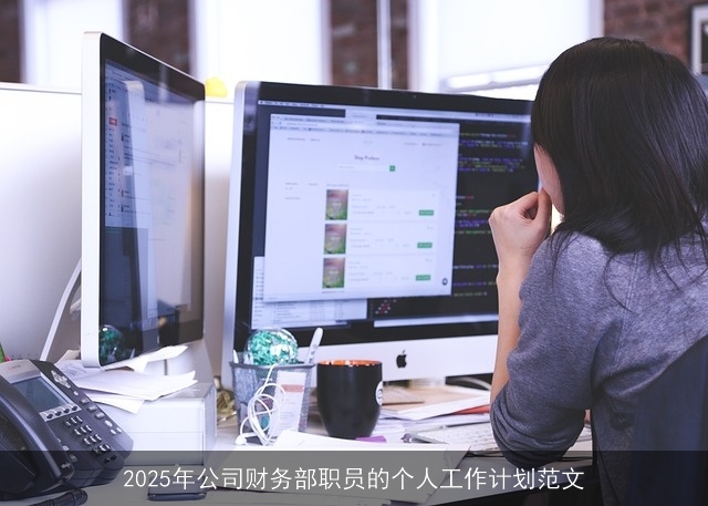 2025年公司财务部职员的个人工作计划范文