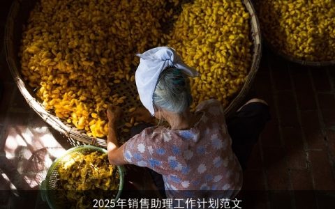 2025年销售助理全面成长计划：技能提升、流程优化与团队协作