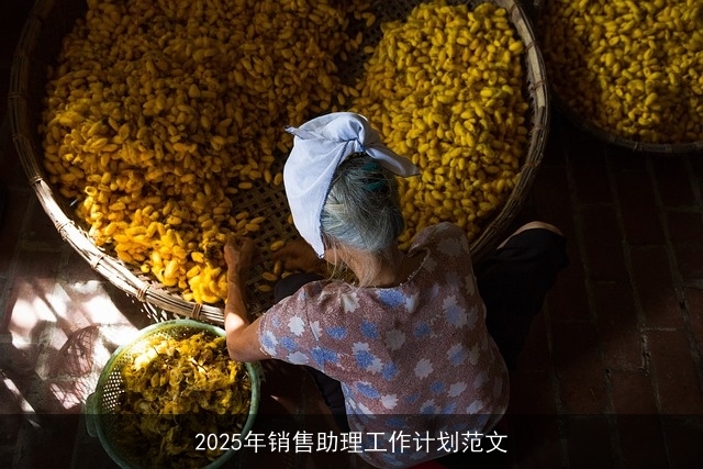 2025年销售助理工作计划范文