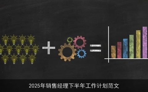 2025年销售经理下半年战略规划与实施策略