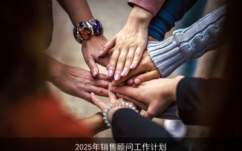 2025年销售顾问：能力提升、客户深耕、策略优化、团队协作与数字赋能