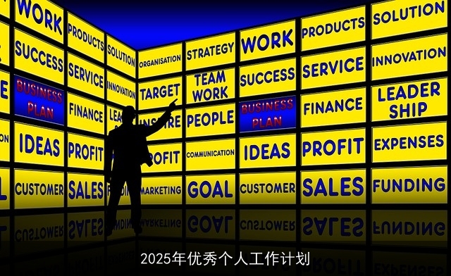 2025年优秀个人工作计划