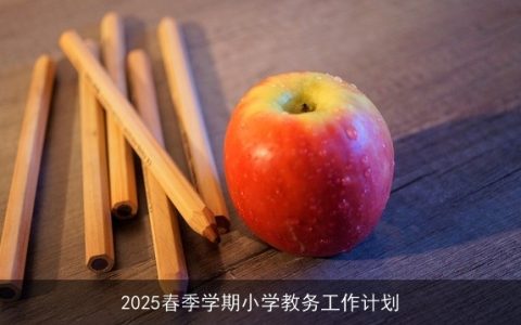 2025春季学期小学教务工作计划