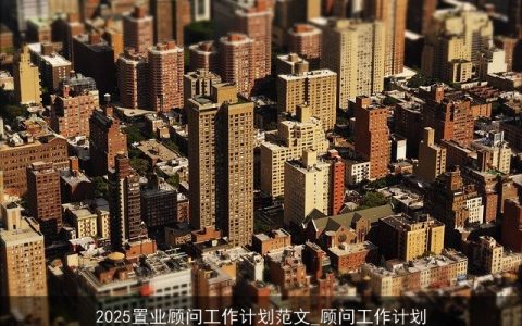 2025置业顾问工作计划范文_顾问工作计划