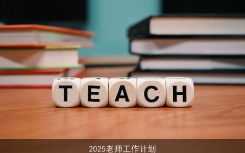 2025老师工作计划