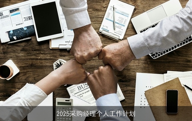 2025采购经理个人工作计划