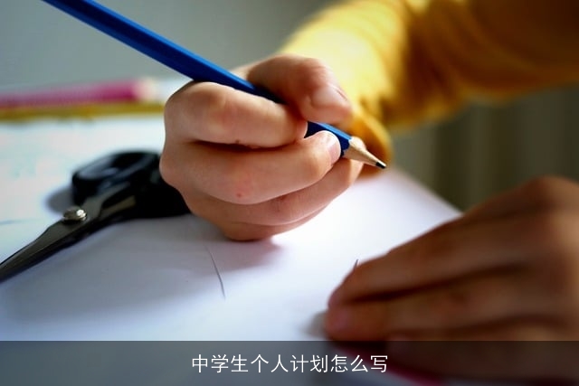 中学生个人计划怎么写