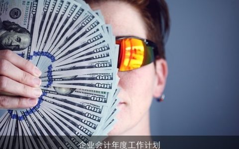 企业会计年度工作计划