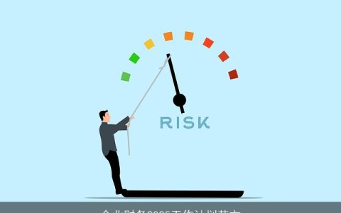 企业财务2025：战略规划与实施策略全解析