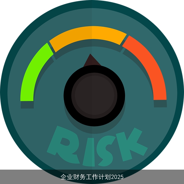 企业财务工作计划2025