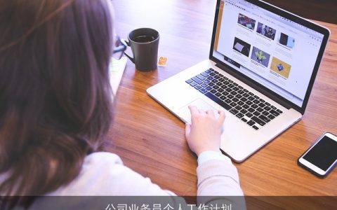 公司业务员个人工作计划