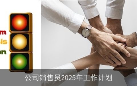 公司销售员2025年工作计划