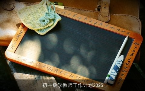 初一数学教师工作计划2025