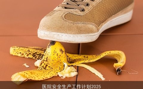 医院安全生产工作计划2025