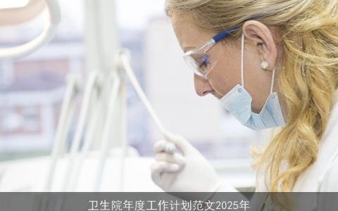 卫生院年度工作计划范文2025年