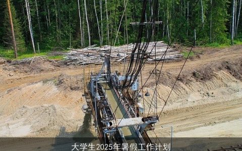 大学生2025年暑假工作计划