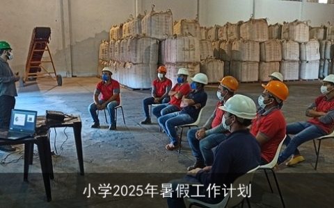 小学2025年暑假工作计划