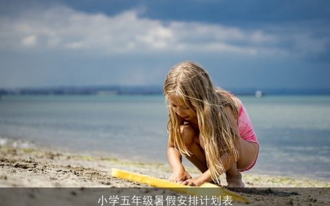 小学五年级暑假安排计划表