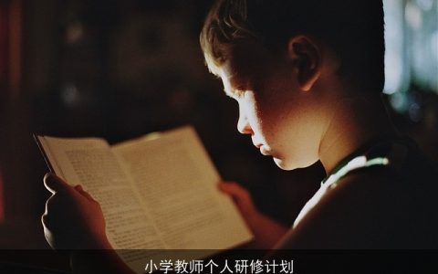 小学教师个人研修计划