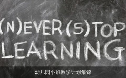 幼儿园小班教学计划集锦