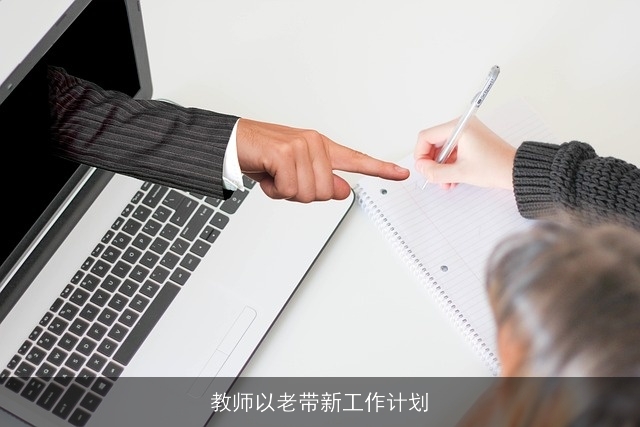 教师以老带新工作计划