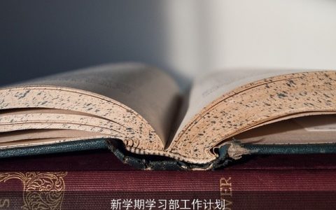 新学期学习部工作计划