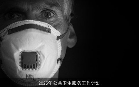 构建健康中国：2025年公共卫生服务工作计划概述