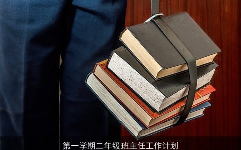 第一学期二年级班主任工作计划