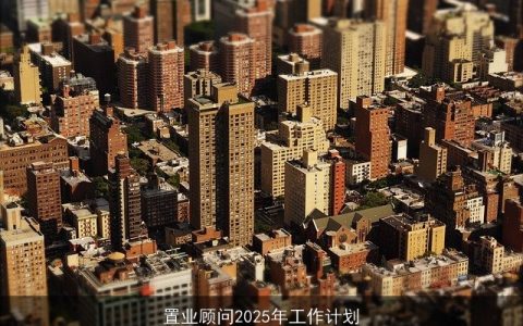 置业顾问2025年工作计划