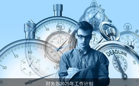 财务部2025年工作计划