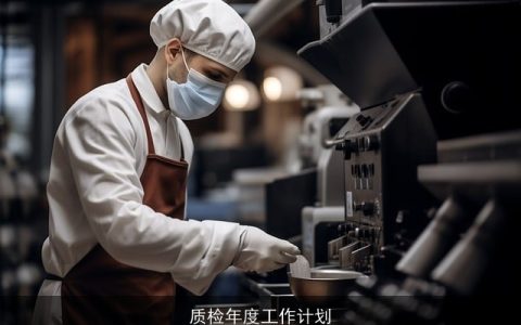 质检年度工作计划