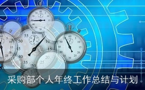 采购部个人年终工作总结与计划