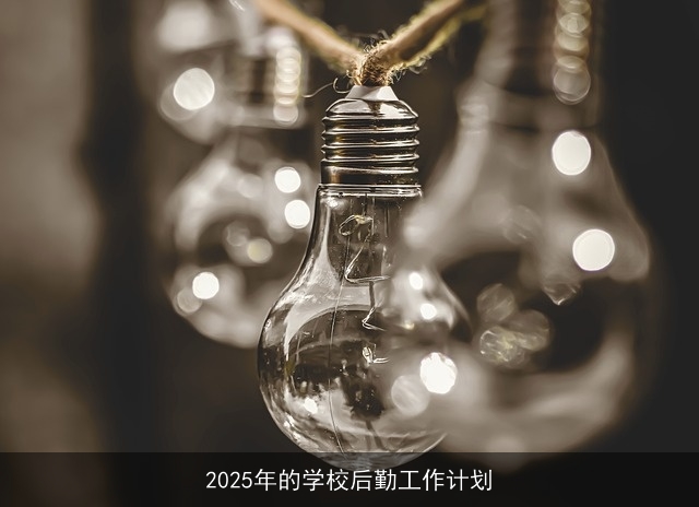 2025年的学校后勤工作计划