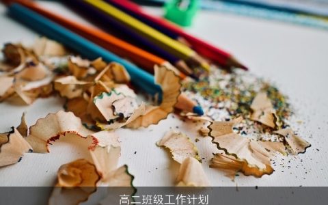 高二班级工作计划