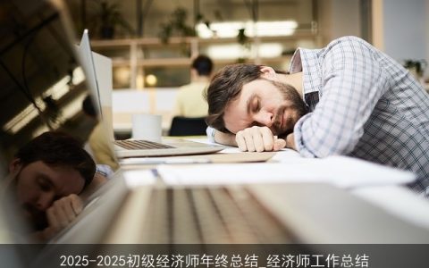 2025-2025初级经济师年终总结_经济师工作总结