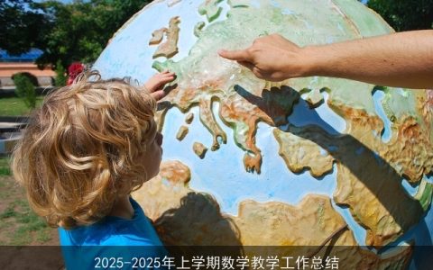 2025-2025年上学期数学教学工作总结