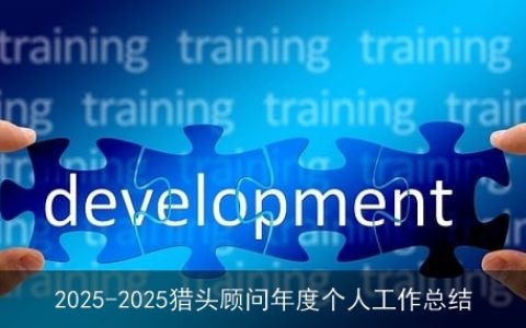 2025-2025猎头顾问年度个人工作总结