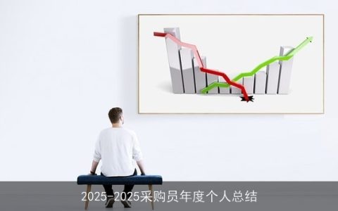 2025-2025采购员年度个人总结