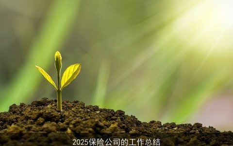 2025保险公司的工作总结