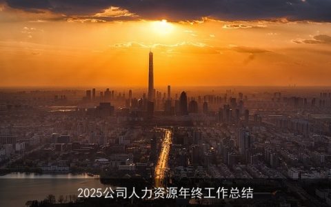 2025公司人力资源年终工作总结