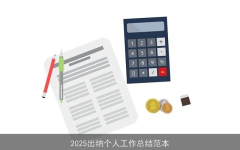 2025出纳个人工作总结范本