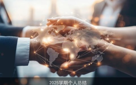 2025学期个人总结