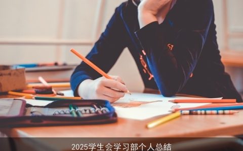 2025学生会学习部个人总结