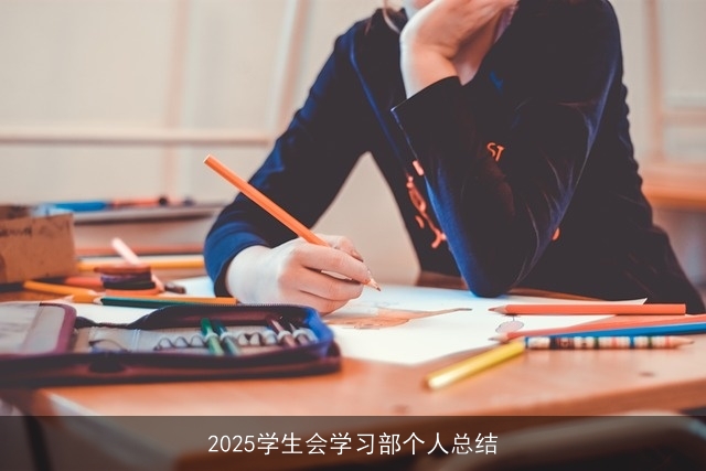 2025学生会学习部个人总结