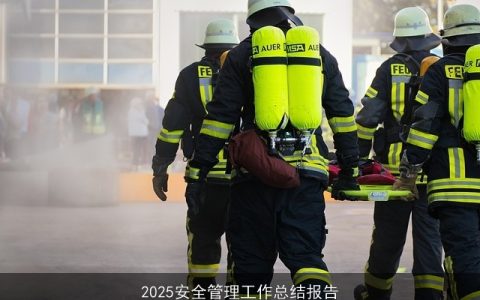 2025安全管理工作总结报告