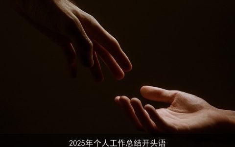 2025年个人工作总结开头语