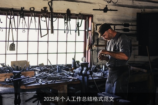 2025年个人工作总结格式范文